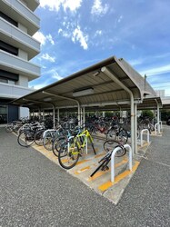 千代県庁口駅 徒歩13分 10階の物件内観写真